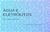 ÁGUA E ELETRÓLITOS Prof a Mestre Elis Fatel Material elaborado por Nathália Brandão.