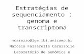 Estratégias de sequenciamento : genoma e transcriptoma mcarazzo@lge.ibi.unicamp.br Marcelo Falsarella Carazzolle Laboratório de Genômica e Proteômica Unicamp.