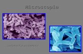 Microscopia Lactobacillus acidophylus. Microscopia Conceito:Conceito: O Microscópio óptico é um instrumento usado para ampliar, com uma série de lentes,