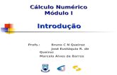 Profs.: Bruno C N Queiroz José Eustáquio R. de Queiroz Marcelo Alves de Barros Introdução Cálculo Numérico Módulo I.