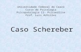 Universidade Federal do Ceará Curso de Psicologia Psicopatologia II- Psicanálise Prof. Luis Achilles Caso Schereber.