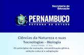 Ciências da Natureza e suas Tecnologias - Biologia Ensino Médio, 3° Ano Os princípios da mutação, recombinação gênica, seleção natural e adaptação.