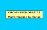 CROMOSSOMOPATIAS Malformações humanas. Anormalidades cromossômicas numéricas : Aneuploidias Aneuploidias Fecundação de gametas com erro no número cromossômico.