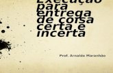 Execução para entrega de coisa certa e incerta Prof. Arnaldo Maranhão.