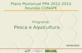Pesca e Aquicultura Plano Plurianual PPA 2012-2015 Reunião CONAPE 18/05/2011 Programa: