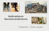 Indicadores Socioeconômicos Vanessa L Tuono Jardim.