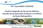 44ª Assembléia ASSEMAE Gestão integrada de Recursos Hídricos. Desafio da Despoluição da Bacia e os Planos de Bacia Hidrográfica Gestão integrada de Recursos.