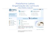 Sistema de Bibliotecas FMU/FIAM-FAAM/FISP Plataforma Lattes Organização do currículo