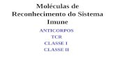 Moléculas de Reconhecimento do Sistema Imune ANTICORPOS TCR CLASSE I CLASSE II.