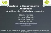 Pecuária e Desmatamento na Amazônia: Análise da dinâmica recente Sérgio Rivero Oriana Almeida Wesley Pereira Saulo Ávila