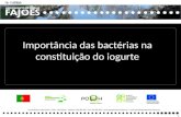 Importância das bactérias na constituição do iogurte Rua Professor Veiga Simão | 3700 - 355 Fajões | Telefone: 256 850 450 | Fax: 256 850 452 | .
