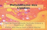 Metabolismo dos Lipídios Curso de Especialização Nutrição Enteral e Parenteral - PUCRS Profas. Ana Maria Feoli e Sônia Alscher.