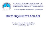 SOCIEDADE BRASILEIRA DE PNEUMOLOGIA E TISIOLOGIA II Curso de Pneumologia na Graduação Dr. Luiz Carlos Corrêa da Silva Pavilhão Pereira Filho – Santa Casa.