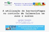 A utilização de bacteriófagos no controle de Salmonelas em aves e suínos Laurimar Fiorentin Méd. Vet., M. Sc., Ph.D. Pesquisador da EMBRAPA Suínos e Aves.