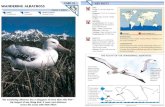 Wildlife Fact File - Birds - 51-60