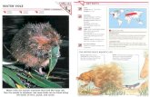 Wildlife Fact File - Mammals, Pgs. 131-140