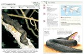 Wildlife Fact File - Reptiles - Pgs. 41-46