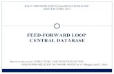 Feed Forward Loop