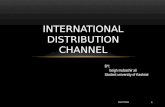 international distribution channel