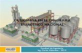 La biomasa en el panorama energético nacional