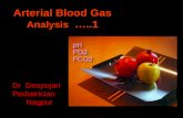 Arterial Blood Gass - Analysis 01