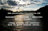 ACADEMIA DE MÚSICA LUDWIG VAN BEETHOVEN  022829673 – 089118384 – 095373691 Quito – Ecuador. ¡Venga estudie con nosotros!