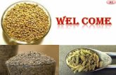 Integrated nutrient management in Seed spices (Fennel, cumin, coriander)