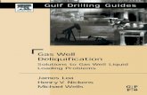 Gas Well Deliquefaction