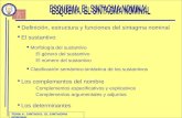 TEMA 4. SINTAXIS. EL SINTAGMA NOMINAL Definición, estructura y funciones del sintagma nominal El sustantivo Morfología del sustantivo El género del sustantivo.