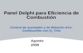 Panel Delphi para Eficiencia de Combustión Control de quemador y de Relación Aire- Combustible con O 2 Trim Agosto 2009.