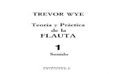 Metodo Flauta Traversa (1) Trevor Wye Teoria y Practica de La Flauta Volumen 1 (Sonido)