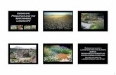 Xeriscape and the Sustainable Landscape - Texas Solar Energy Society