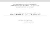 Biossíntese de terpenos - APRESENTAÇÃO
