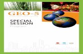 Program of Special Session at GEO-5 Global Environment Outlook