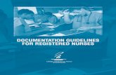 CRNNS Documentation Guidelines 2005