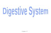 Digestion system2011
