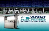 ANGI Energy Systems Informational Brochure