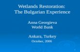 Wetlands Restoration: The Bulgarian Experience (Georgieva)