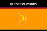 QUESTION WORDS. Question words.... Tag words Tag questions are used when the speaker is trying to involve the listener in the conversation.