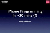 iPhone Programming in 30 minutes (?) [FTS]