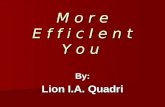 Efficient At Work ppt By Lion Ishrat Ali Quadri PDG