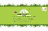Marvella city   updated - hector