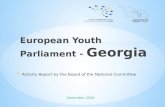 Report 2010 of EYP Georgia