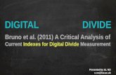 A critical analysis of digital divide measurement