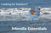 Mendix Essentials   Introductiedag 27 11 09
