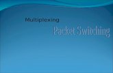 8 Packet Switching