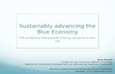 Sustainably advancing the Blue Economy: EIA of Marine Renewable Energy projects in the UK