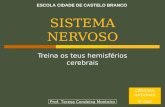 04 Sn Treina Os HemisféRios Cerebrais Tc 0809