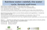 Rainbow water: rainfall, the water cycle, forests and trees