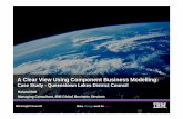 IBM Global Services: A Clear View Using Component Business Modelling: Customer Case Study QLDC